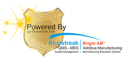 Bluestream Logo
